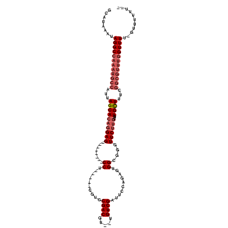 secondary structure
