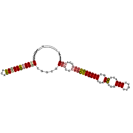 secondary structure