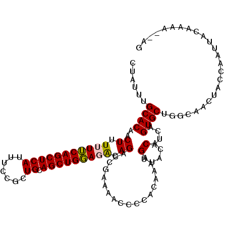secondary structure