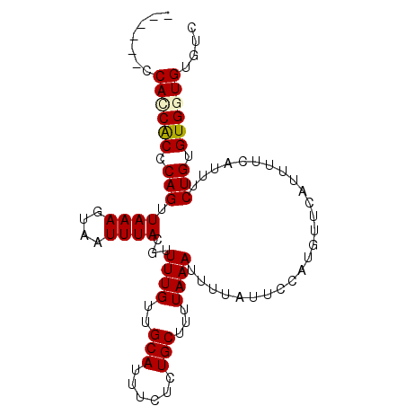 secondary structure