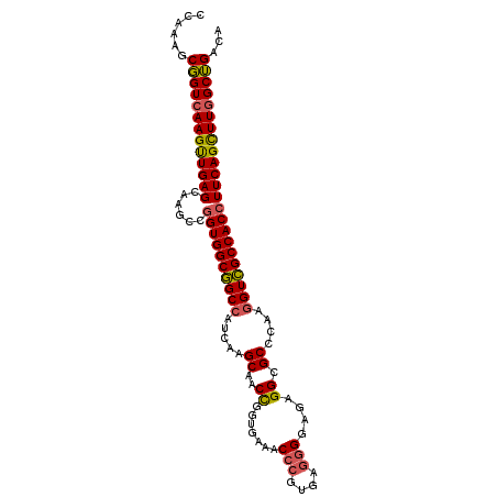 secondary structure