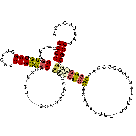 secondary structure