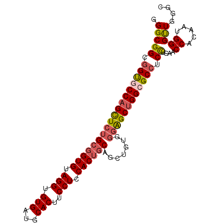 secondary structure