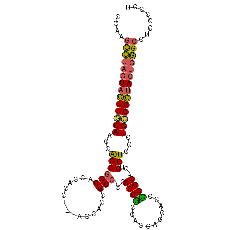 secondary structure