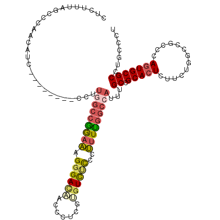 secondary structure