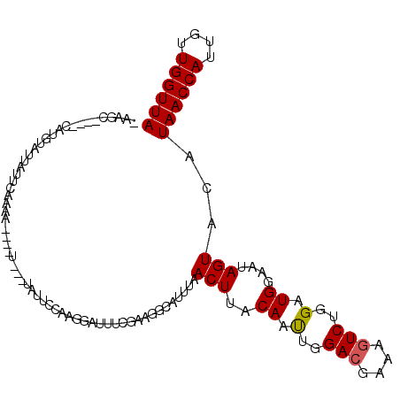secondary structure