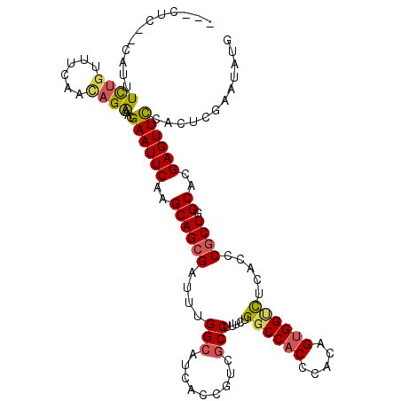 secondary structure