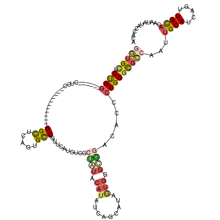 secondary structure