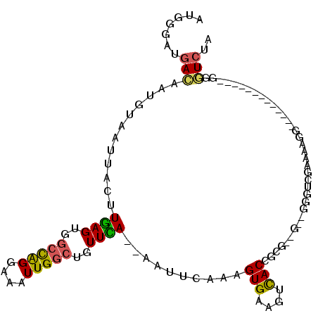 secondary structure