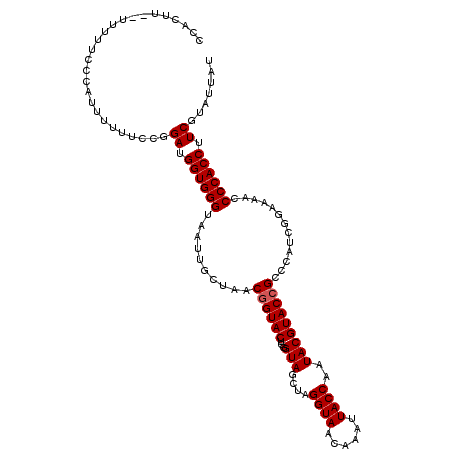 secondary structure