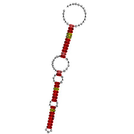 secondary structure
