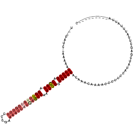 secondary structure