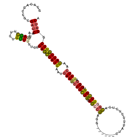 secondary structure