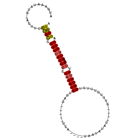 secondary structure