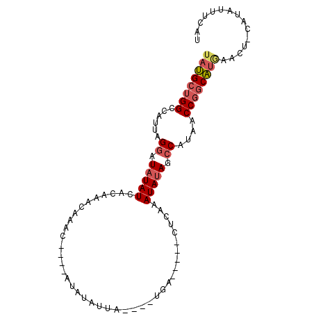 secondary structure