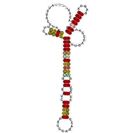 secondary structure