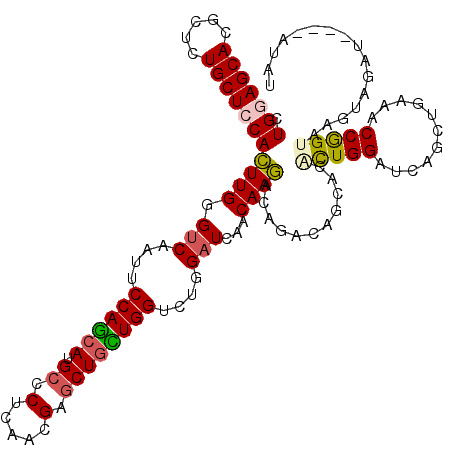 secondary structure