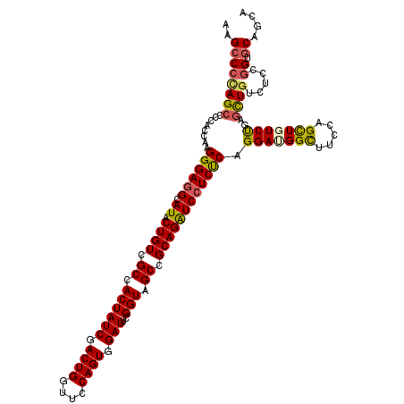 secondary structure