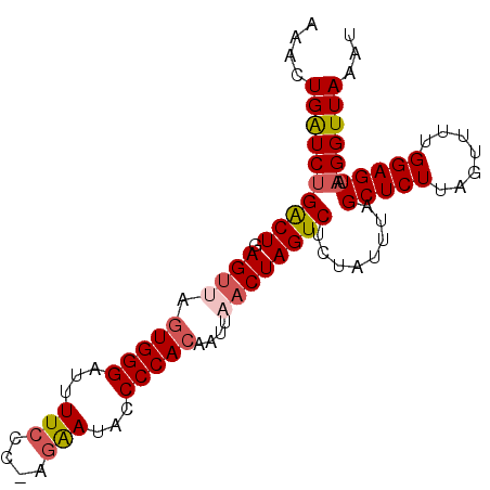 secondary structure