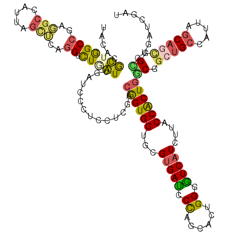 secondary structure