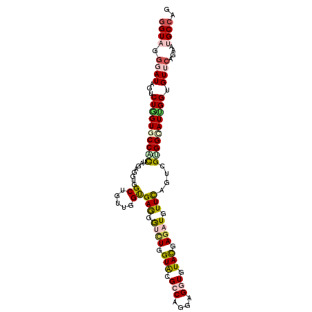secondary structure