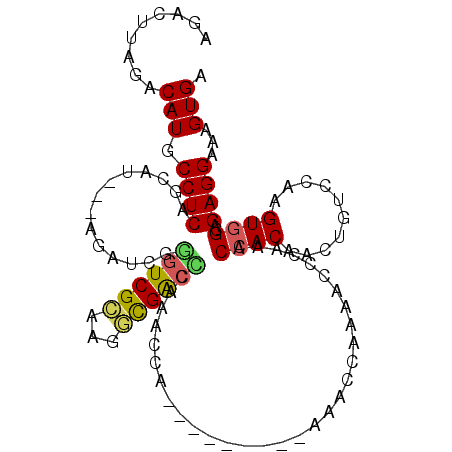 secondary structure