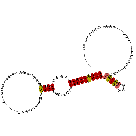 secondary structure