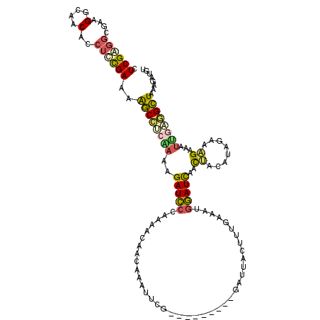secondary structure