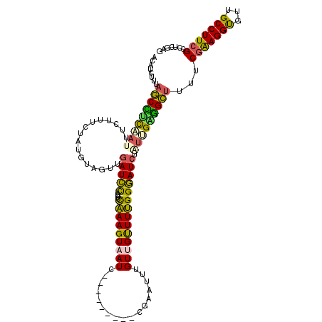 secondary structure