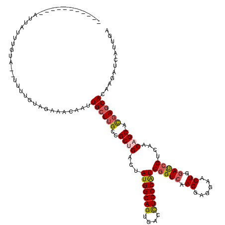 secondary structure