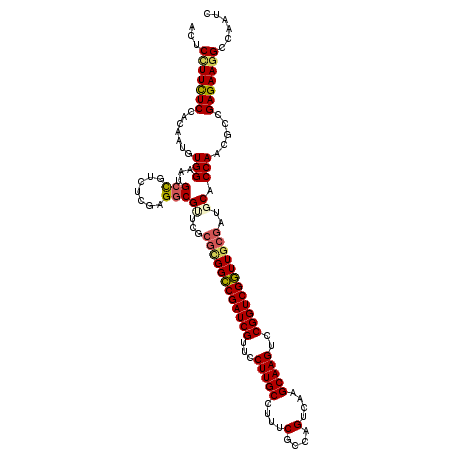 secondary structure