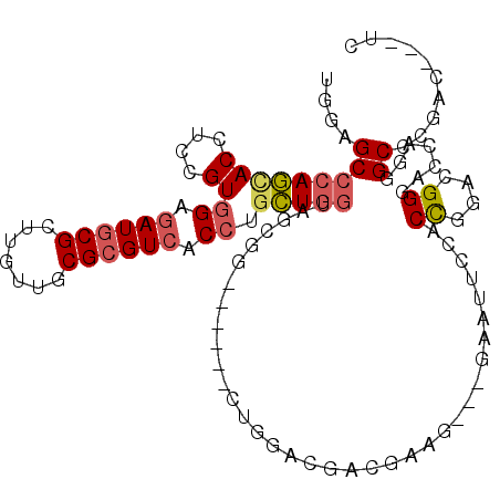 secondary structure