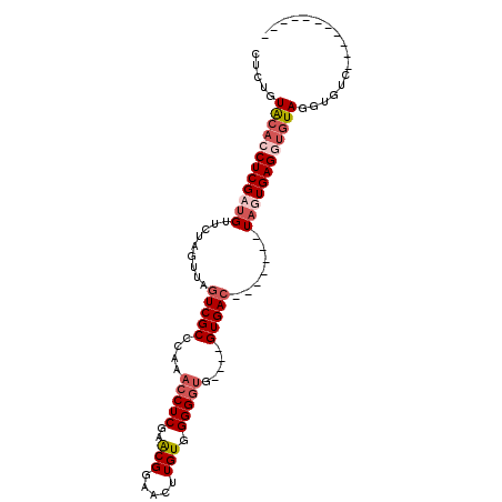 secondary structure