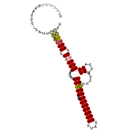 secondary structure