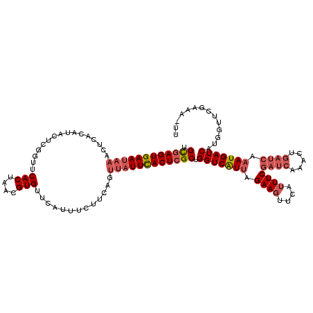 secondary structure