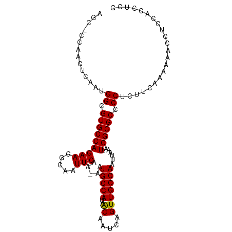 secondary structure