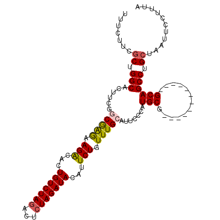 secondary structure