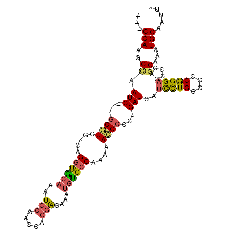 secondary structure