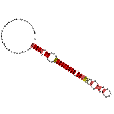 secondary structure