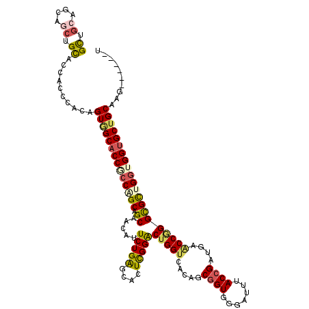 secondary structure