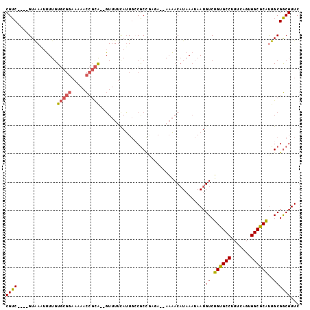 dotplot