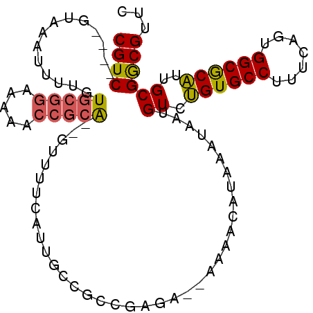 secondary structure