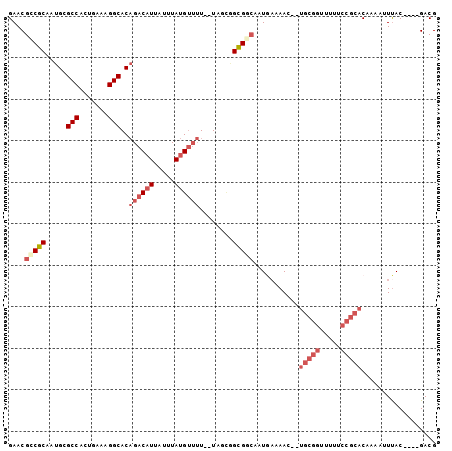 dotplot