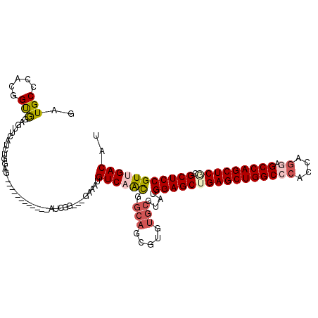 secondary structure