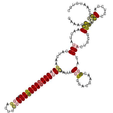 secondary structure