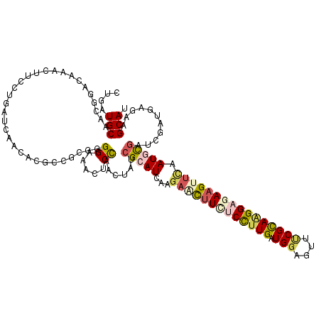 secondary structure