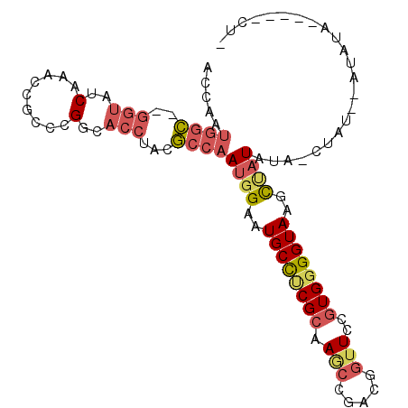 secondary structure