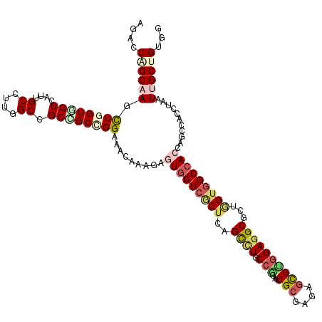 secondary structure
