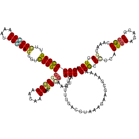 secondary structure