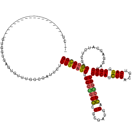 secondary structure